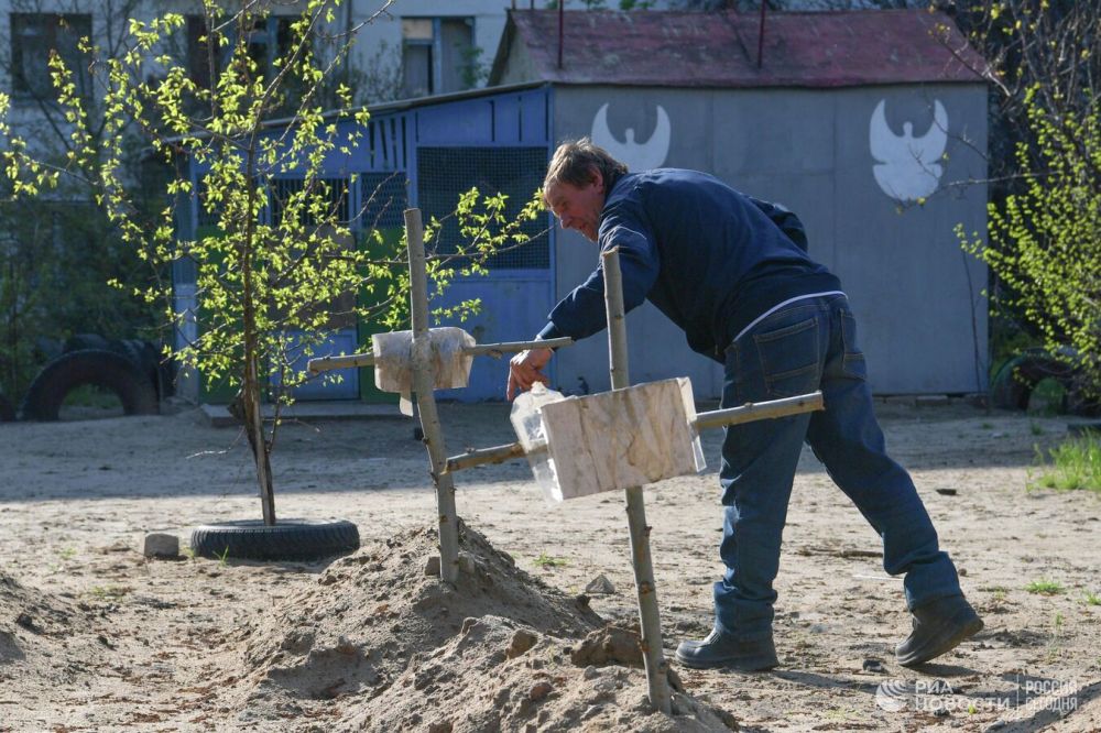 Житель Рубежного рассказал о "целых кладбищах" во дворах домов