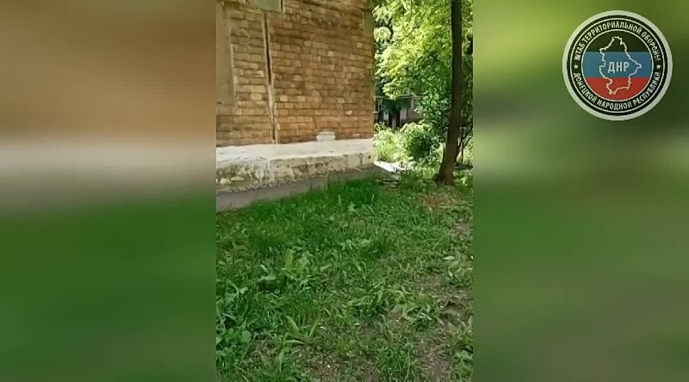 ���������� ������� ����������� ���������� ������������ ���� ������ ������� ��������� � �������