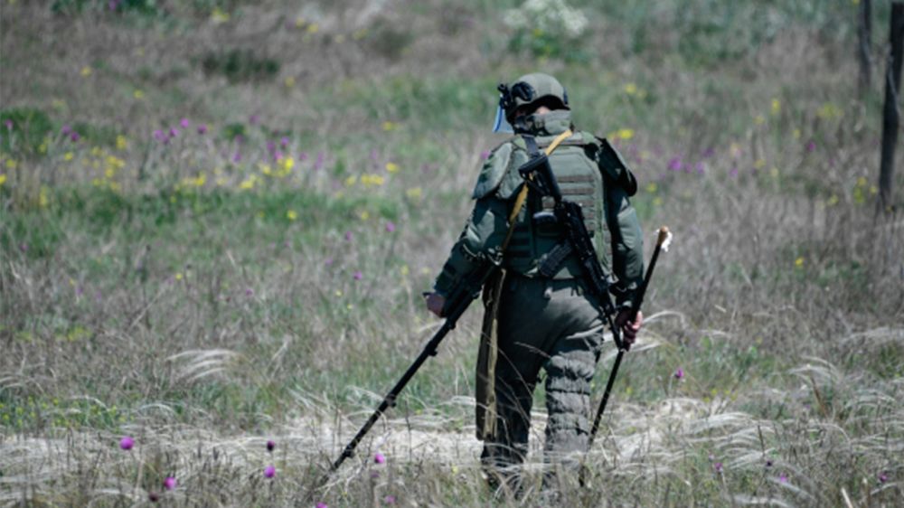 �� �� ������������� ����� 2,6 ������ �������� � ��� � ���