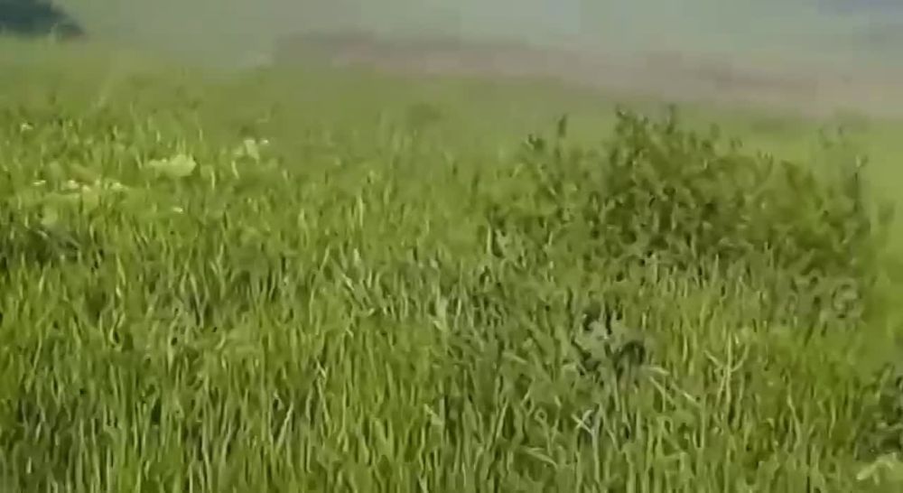 �� ����� ������� � ��������