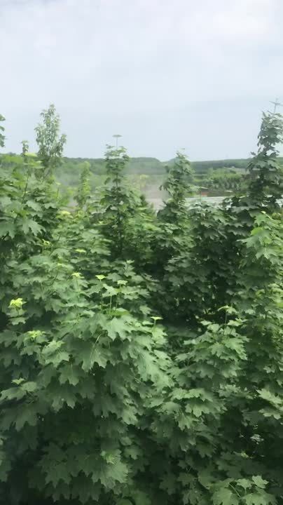 ������� ������������� ������ �������. ������� �� ������� ������������ ��������