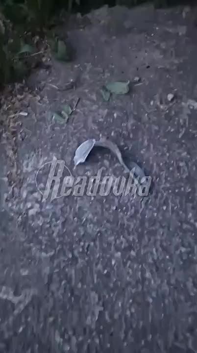 ����������� �������� ��������� ������ ������� ����������� ���