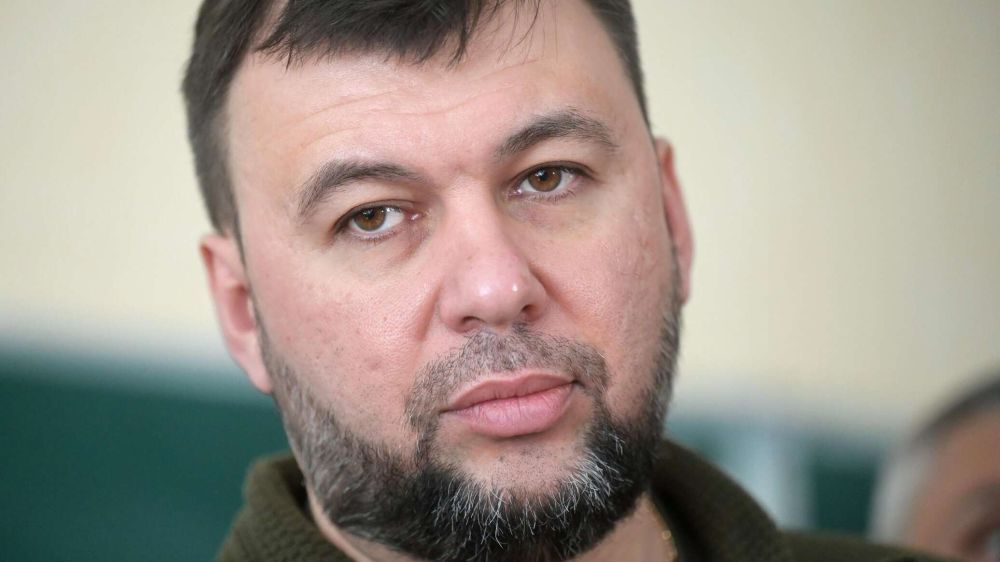 Оснований для помилования осужденных в ДНР наемников нет - Пушилин