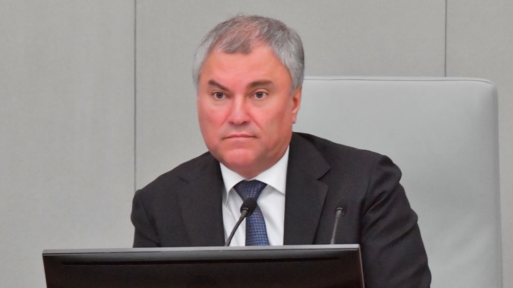 Володин высказался за сохранение смертной казни в ДНР