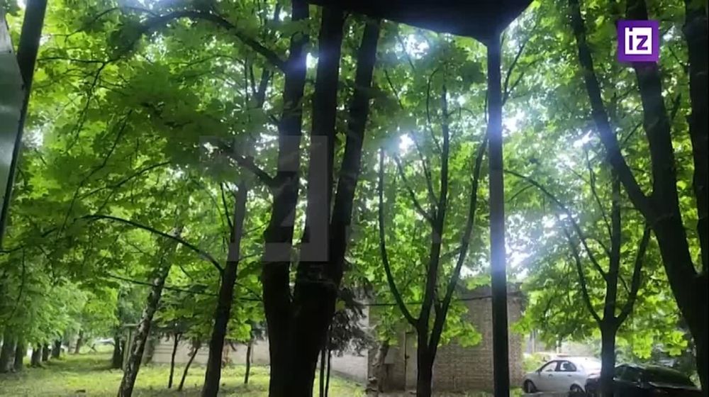 ����� ����� ��������� �� ������� ��� �� ������� ������� ������� "��������" ��������� ��������