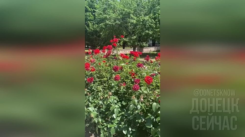 �������� ������� � ��� ��������� ������ �� ���� ������� "�������"
