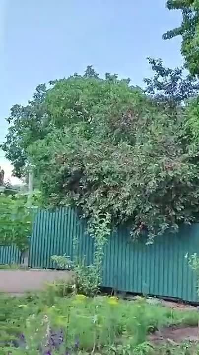 � ������� ��� ����� ����� �������� �����, ������� ����� ������ ������� ��������