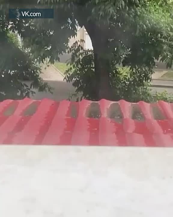 ������ ��������� ������� �� ���� ������ ���� � ������� ����� �� �����