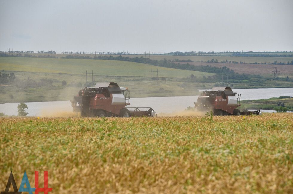 Першотравневый район планирует убрать ранние зерновые на площади в 23 тыс. га