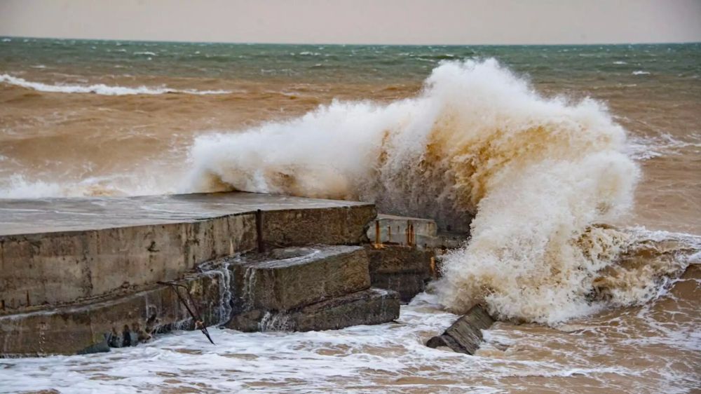 ������� ������� � ��������� ���: 25 ����