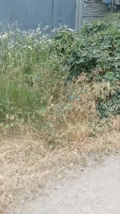 ����������� ���������� ������� �� ������������� ������ �������