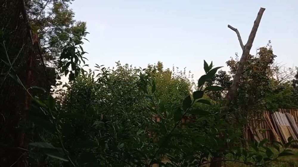 ��� ��������. ���� ���� �� ���