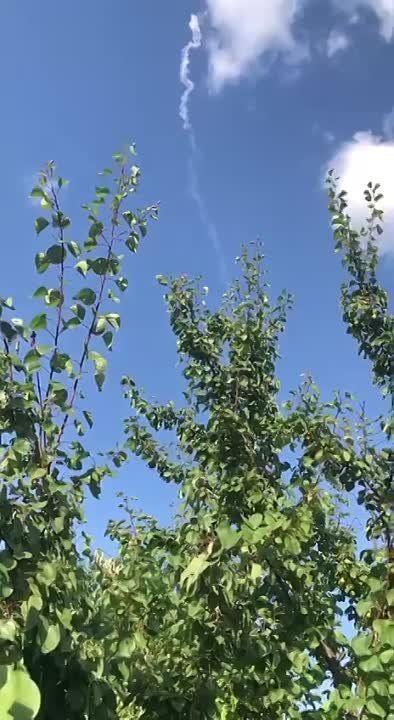 ��� �������� �������� ���