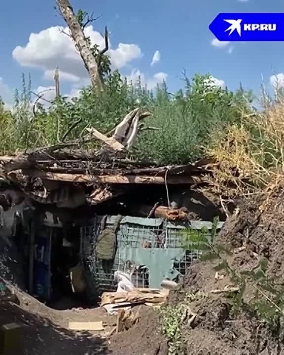 Военкор "КП" Дмитрий Стешин поработал со снайперской тройкой на позициях под Донецком и побывал на передовой где чувствуешь себя в окопах Первой мировой, переходивших из рук в руки по много раз