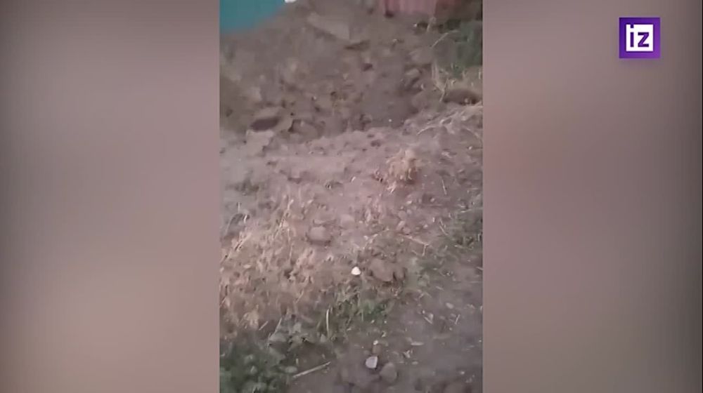 �������� ������� �� �������� � ������ ��� �������� ��������� ����� ������� ����� ��������� ���