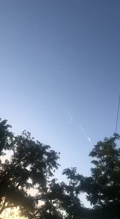 ���� �������� ���������: ��� ������� ��������� ���� ��� ��������� � ��������