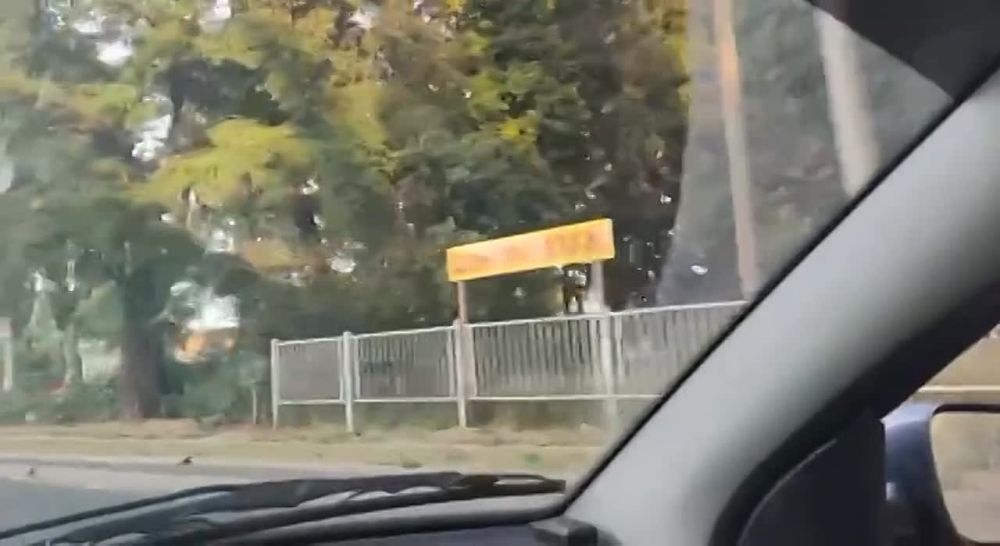 ����� �������� ��� � ������� ����� ������� ������� �����