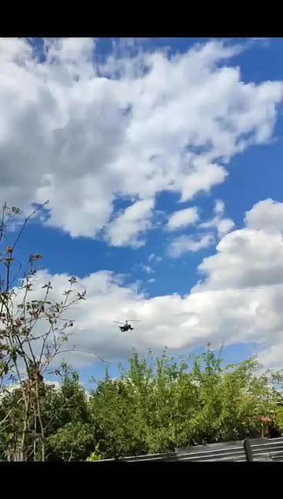 ���� ������ �������� � � ���� ��� ��������, ����� �������� �������� �� ���������� �����������