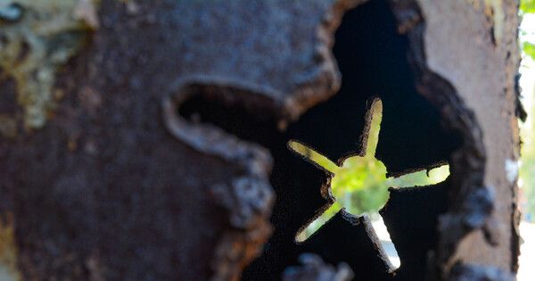 ������� ��������� �� ������, ������� ������� ������������ ���� ��������� �����