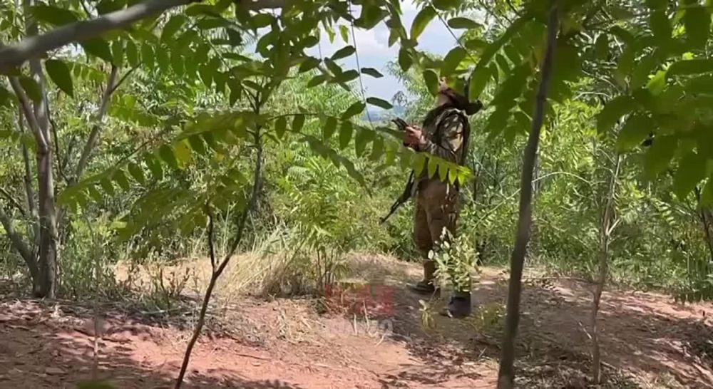 ��������� ����� ������ ��� ��������