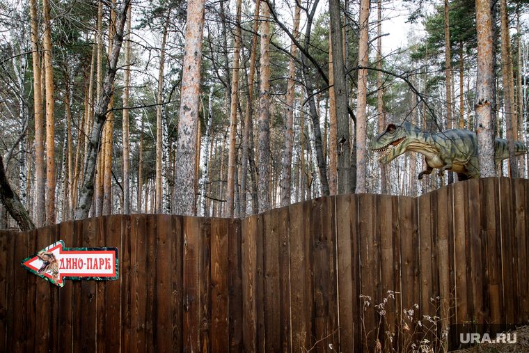 � ���� ������ ���������� ������ ������������� ����� � �����������