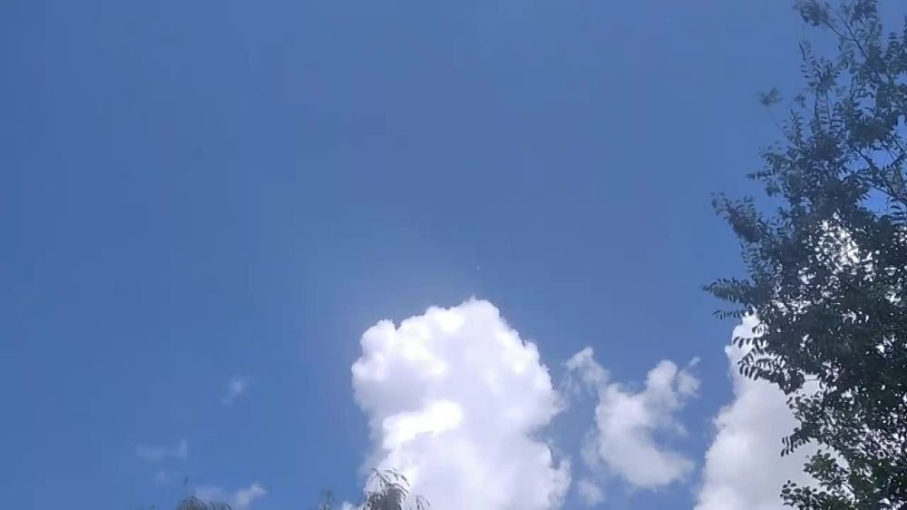 ���� ������ ��������� ������ ���