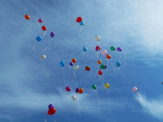 � �������� ������ ���������� ����� ������ �������� ����� ��������