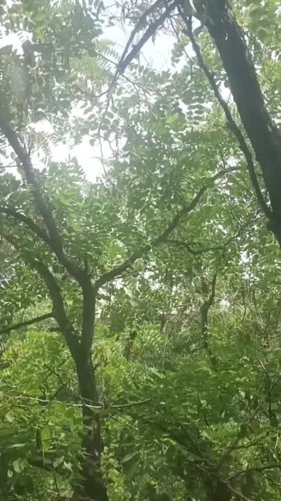 �������� ����� ������� �����