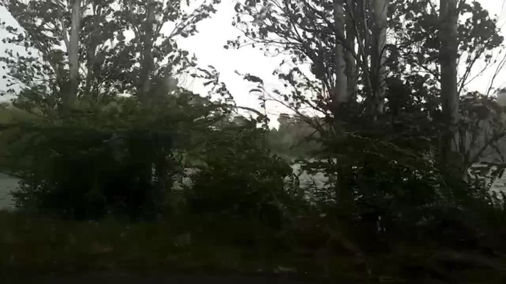 ������� ������ � �������