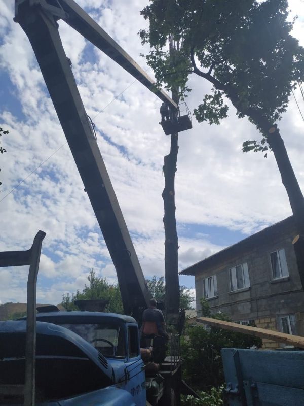 ������� ������: ������������� ��������� ������������ ������������� ������ ������� "������� ������������� ������������...