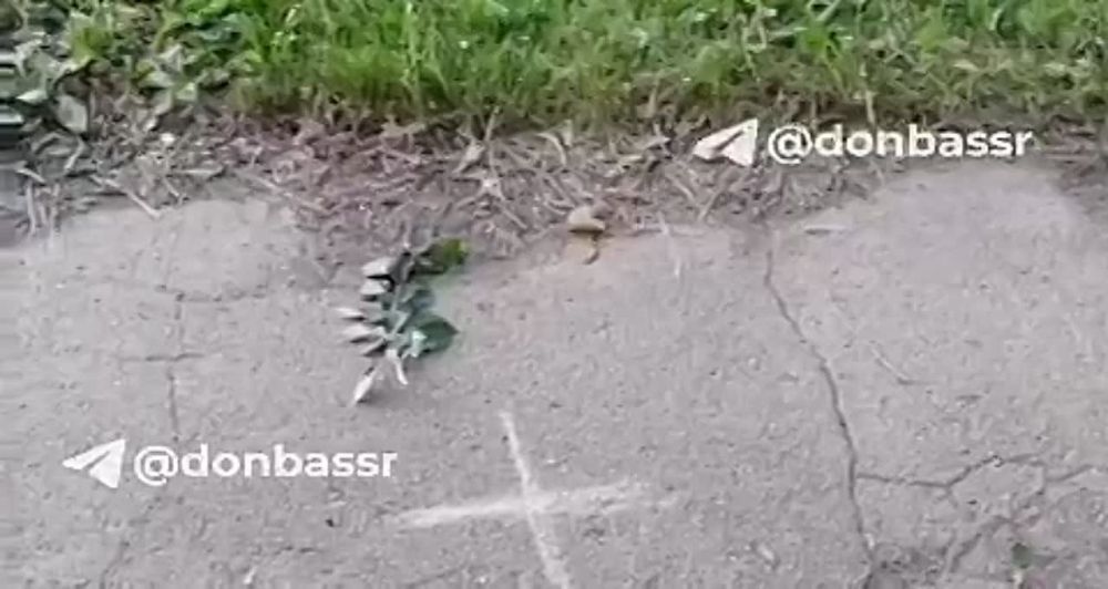 ����-"��������" ���������� ������� ���������� ������ �������� ����� �30 � ��������� ������ �������