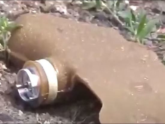 ��� �������� ���� ��������� �� ��������