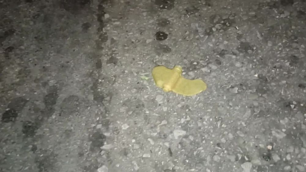 ����� ������� ����� ���������������� ������ "��������"