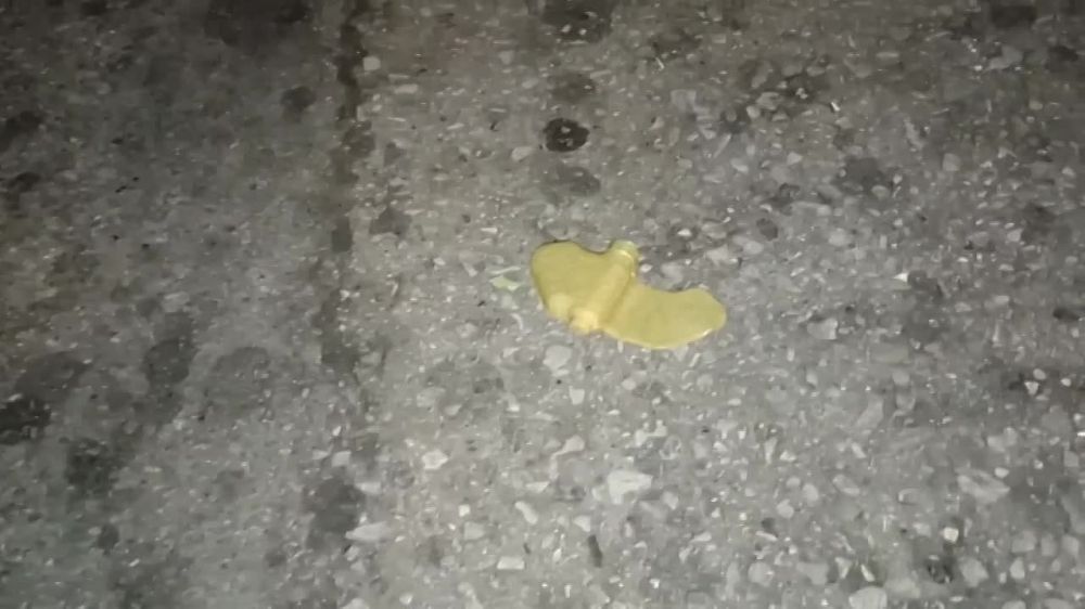 ��� ����� ������� ����� ������� ������������ ������-���������� � ���� ������ �����������, ����� ������ ����������� �� ��������� �����