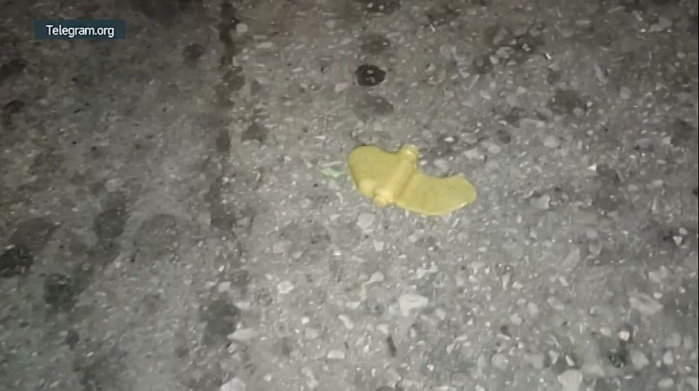 ������ ����������� �� ����-�������� � ������ �������