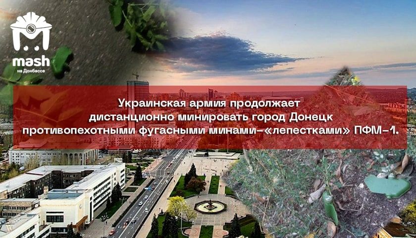 ����� "����������" ������� ����� �������