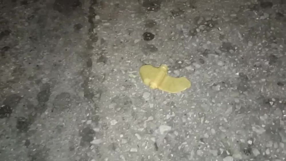 ��������� ����� �� ������ ������� �������� ����-��������