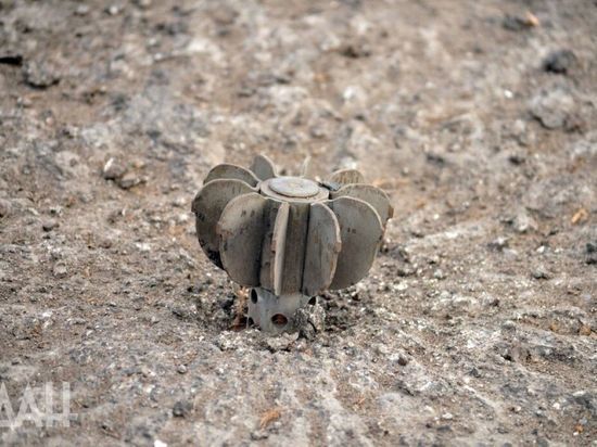 ������� �������� � ������ ������������ ��������� �� �������� �������