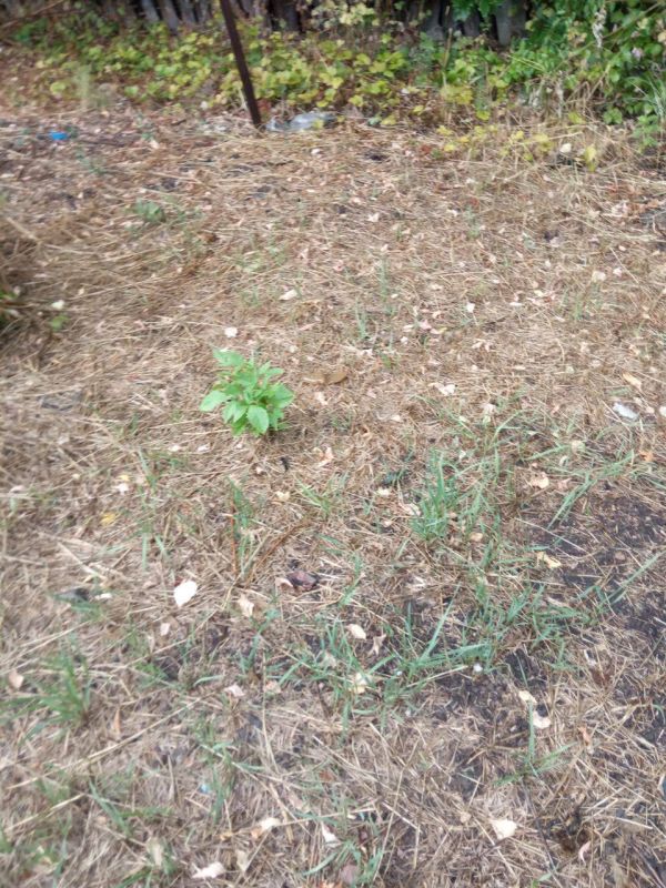 - ������ ����? ���? � ��� ����!