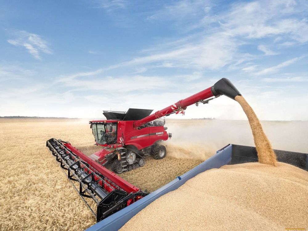 Депутат Народного Совета Юрий Леонов прокомментировал уборочную кампанию 2022 года в Донецкой Народной Республике