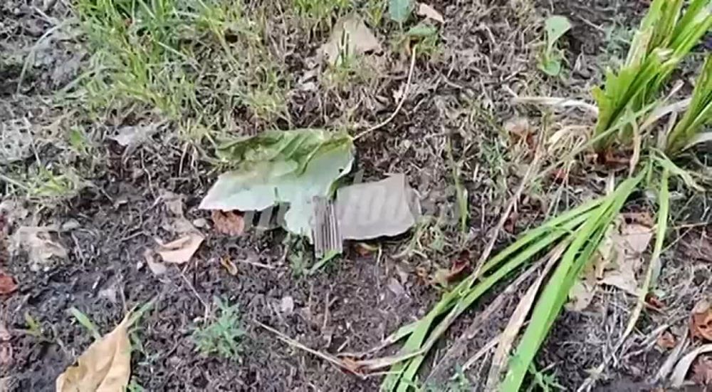 ������ ������� ������������ � ��� ����� ��� ������ ��������� ������ �777 � ������� 155-�� �������� ���������� �� ����� �������