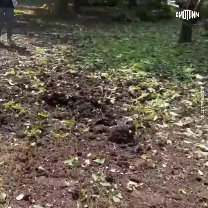 ����������� �������� ��� �� ������ ������� ������������ � ���������� �����