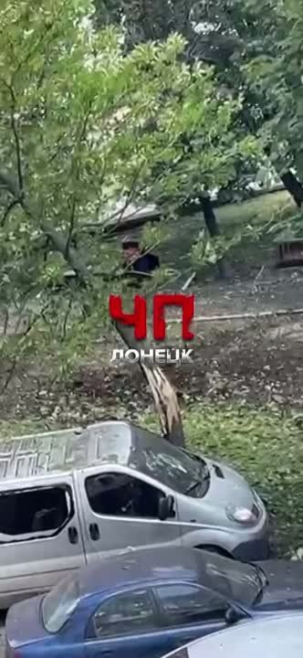 ����������� ��������� ������ ������ �������
