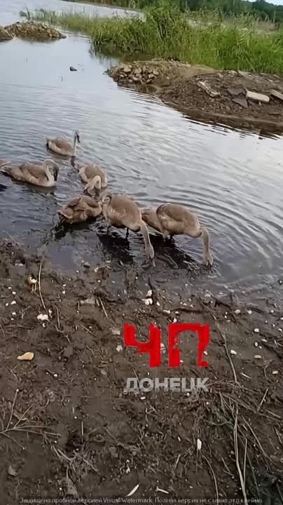������ ��� � �����!!!. �������� ����! ������!