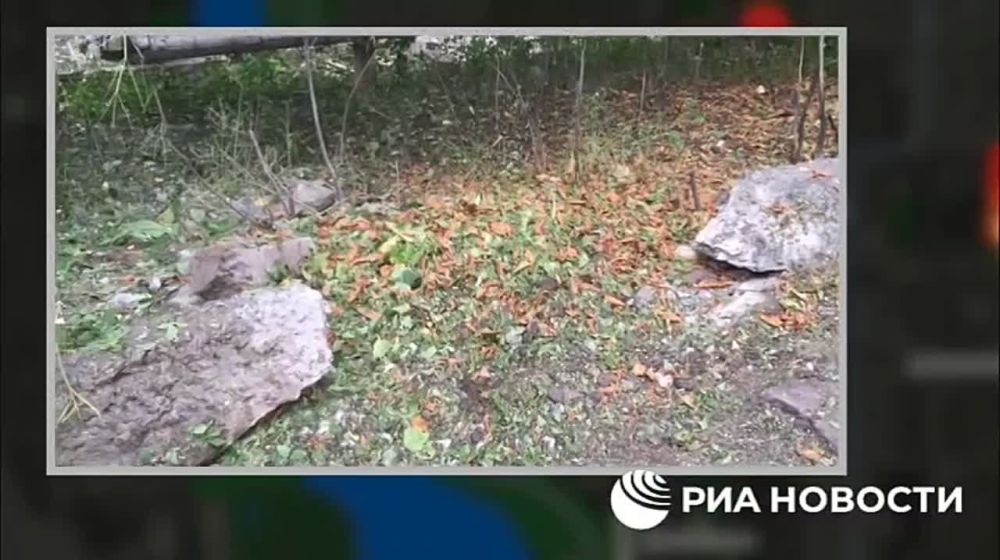 ��� ������� ����� ��������� ����� ���� ��������� ���������� �������� � ����������� ���� ��������� ������ ������� 4-�� �������