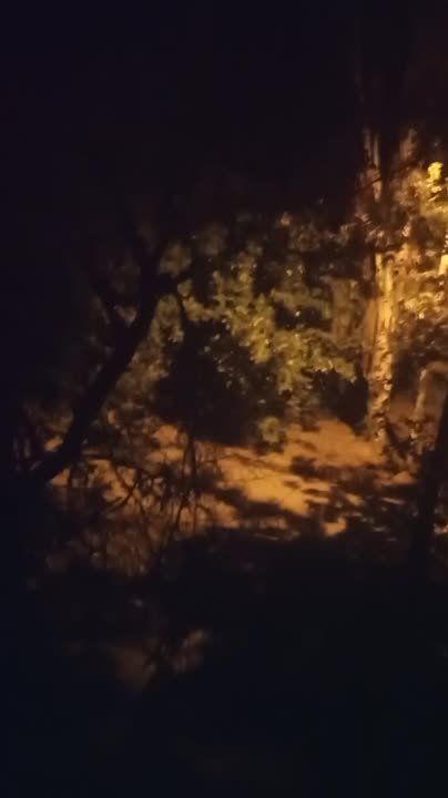 ������ ������ � ������� ���� �����