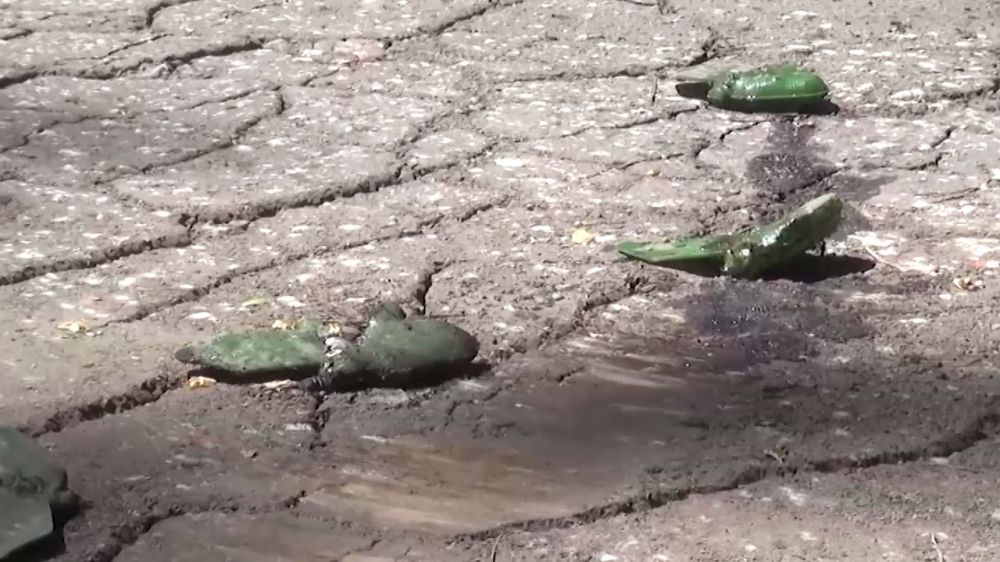 ��� �������� �� ������ ��� ������� ���� � ������ ���������