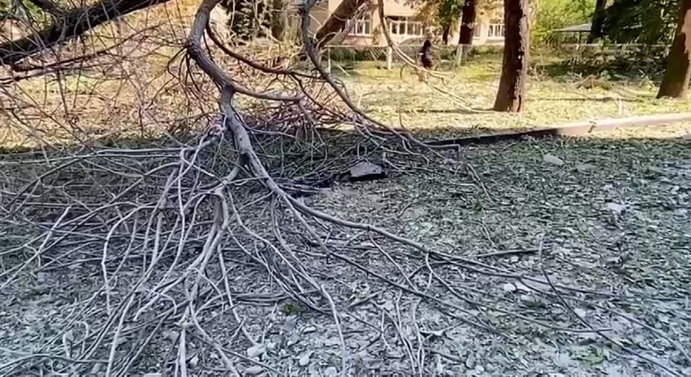 ����� ������������� ������������ ������ ���������� � ����������� �������� ������ �� ������� ���