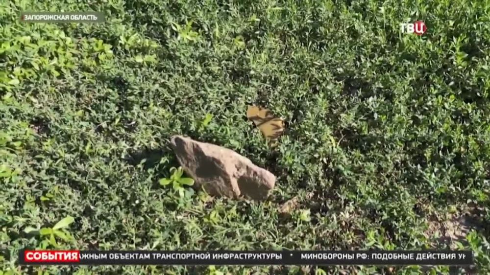 �������� �����: ���������� ���������� ���������� ��������� �������� ��������, ����������� ������ ���������