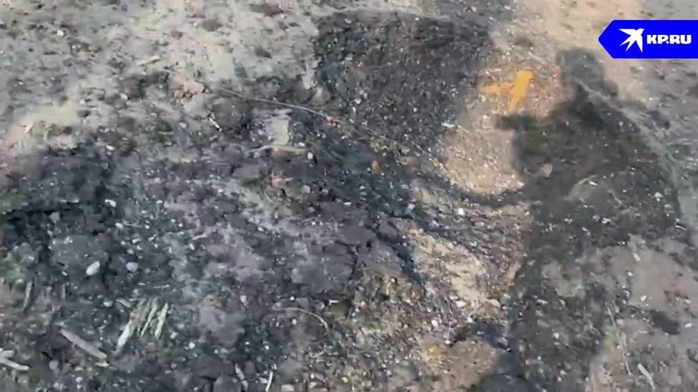 ��� �� ����� ��� ������ ��������� ������� ����� - �����, � �������� 8 ��� ��������������� ������� �������